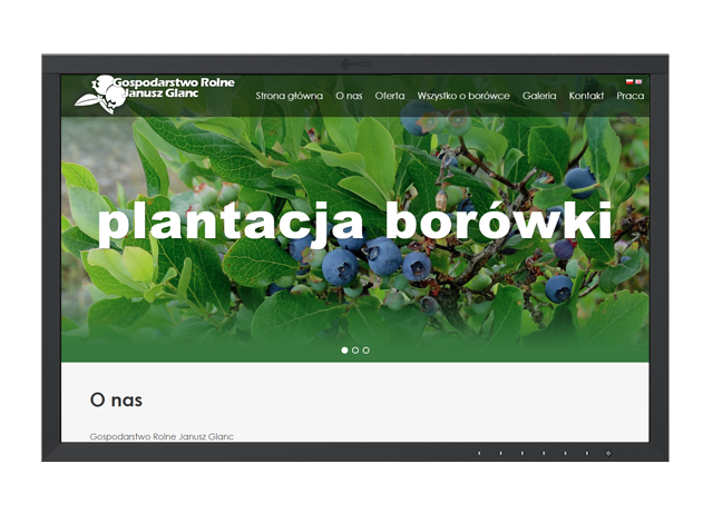 Realizacja strony internetowej